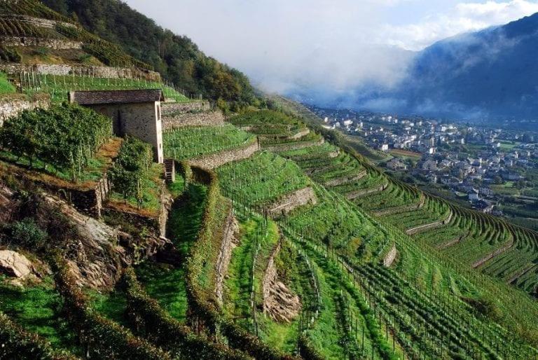 Sofi Apartment Chiavenna Zewnętrze zdjęcie